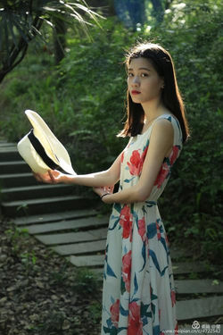 三级免费高清在线观看播放界面